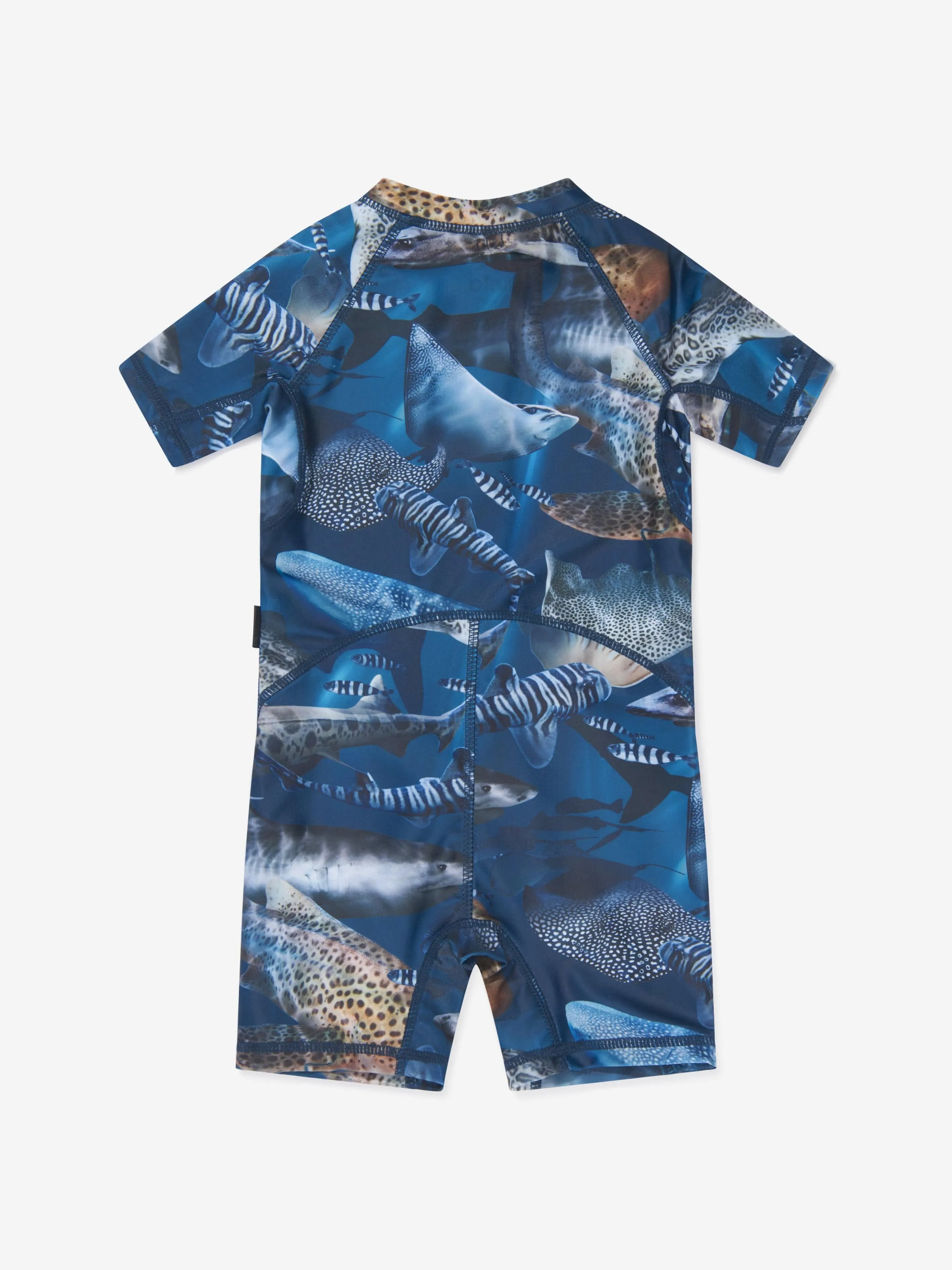 Molo Baby Boys Amazing Sharks Protective Swimsuit